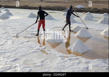 SÉNÉGAL, Kaolack, sel travaille dans des salines, salines de mer dans le delta de la rivière Saloum / Salzgewinnung dans den Salinen der Lagune Saloum Banque D'Images
