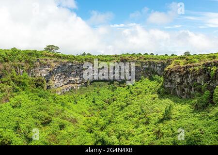 Cratère volcanique éteint de jumeaux (Los Gemelos), île de Santa Cruz, parc national de Galapagos, Équateur. Banque D'Images