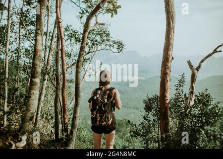 Vue arrière d'un randonneur femelle méconnu avec sac à dos près de grands arbres au-dessus d'un épais de jungle verte dans la nature sauvage Banque D'Images