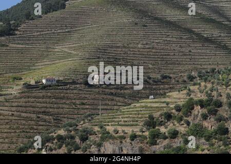 Vignobles de la vallée du Douro Portugal depuis le fleuve Douro et depuis le train jusqu'à Porto Banque D'Images