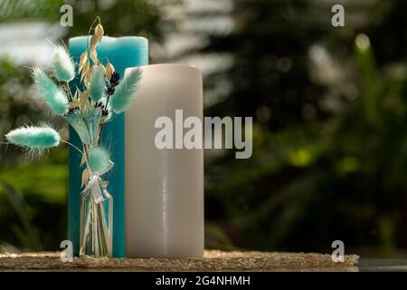 Composition abstraite avec plantes. Les branches vertes de l'eucalyptus sont dans un pot en verre. Plumes roses, vases, plantes et fleurs séchées, bougies, un pin Banque D'Images