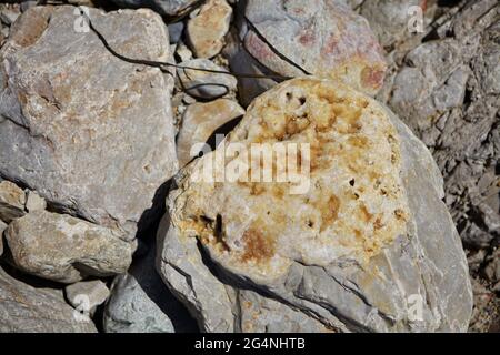 Calcite jaune et quartz sur grès à Pors Creguen Strand, Crozon-Morgat, Bretagne, France Banque D'Images