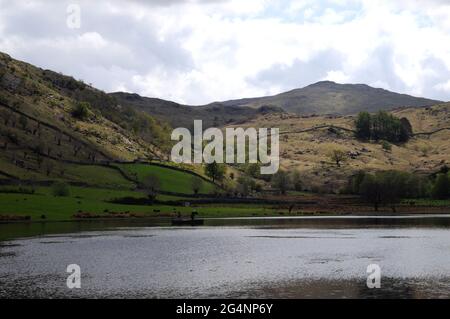 Watendlath Tarn, près du hameau de Watendlath dans le district des lacs anglais. Les pêcheurs à la ligne peuvent souvent être vus pêche à la mouche pour la truite à partir des bateaux sur le tarn. Banque D'Images