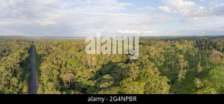 Antenne panoramique de la forêt amazonienne en Équateur. Une ferme de bétail a été coupée de la forêt sur la droite. Les routes apportent colonisation et destruction Banque D'Images