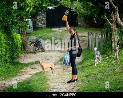 Minca, Magdalena, Colombie - Mai 19 2021: Une femme asiatique tient un ananas est près de chiens mongrel dans une forêt Banque D'Images