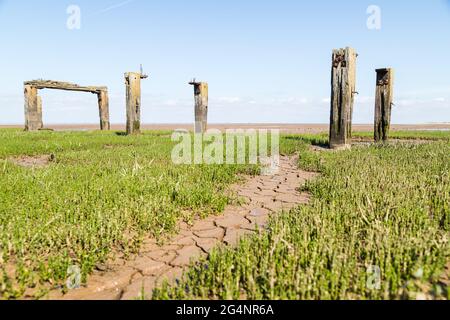 Les restes de la jetée de la plage de Snettisham qui a été utilisée pour charger des barques extraites localement sur la rive. Banque D'Images