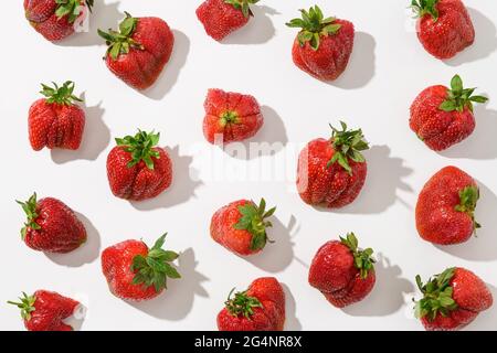 Motif de fraise biologique laid avec ombre ensoleillée sur fond blanc. Vue de dessus. Concept de produits biologiques. Banque D'Images