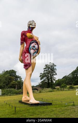 La sculpture de la Vierge mère vue au Yorkshire Sculpture Park près de Wakefield vu en juin 2021. Il a été créé par l'artiste Damien Hirst en 2005. Banque D'Images