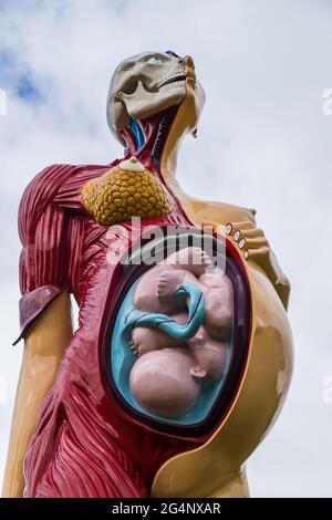 La sculpture de la Vierge mère vue au Yorkshire Sculpture Park près de Wakefield vu en juin 2021. Il a été créé par l'artiste Damien Hirst en 2005. Banque D'Images