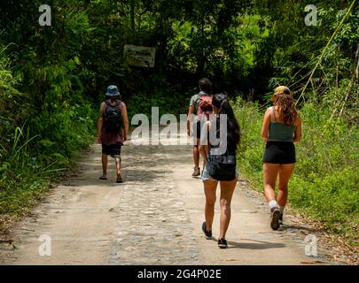 Minca, Magdalena, Colombie - Mai 19 2021: Groupe de jeunes touristes caucasiens et latins marchant au milieu de la nature Banque D'Images