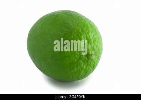 Vert citron vert frais isolé sur fond blanc. Agrumes en pleine mise au point. Banque D'Images