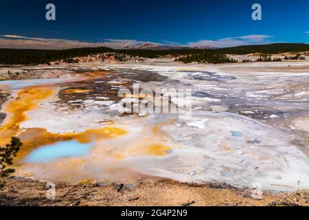 Sources de porcelaine en terrasse dans le parc national de Norris Geyser Basin Yellowstone, Wyoming Banque D'Images