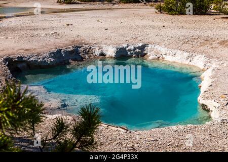 Mud Spring dans le parc national de Yellowstone du bassin de Norris Geyser, Wyoming Banque D'Images