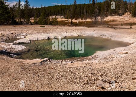 Crater Spring dans le parc national de Norris Geyser Basin Yellowstone, Wyoming Banque D'Images