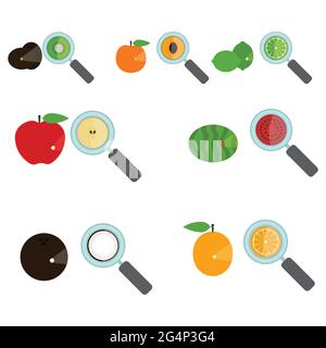 Jeu de fruit amplifié par une loupe. Loupe montrant l'intérieur du fruit. Morceau de fruit. Arrière-plan blanc. Isolées. Illustration de Vecteur