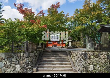 Entrée avec porte torri entourée d'érables de couleur automnale au temple Hachiman Daibosatsu à Arashiyama, Kyoto, Japon Banque D'Images