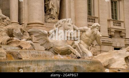 Rome. Détail de la fontaine de Trevi. Un guide triton un des deux chevaux à ailes qui tirent le char de Neptune. Banque D'Images