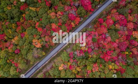 Vues aériennes des sentiers de randonnée de la Transcanadienne dans le paysage d'automne à Halifax, en Nouvelle-Écosse. Vues aériennes sur le plus long sentier du monde. Banque D'Images