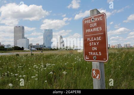 Milwaukee, Wisconsin, États-Unis. 22 juin 2021. Le craquage Art est un mouvement d'art public connu pour la création d'installations urbaines caractérisées par l'exposition d'animaux géants en plastique coloré recyclable. Le mardi 22 juin 2021, les 22 hirondelles sont le premier projet d'art temporaire au parc national Lakeshore, dans le centre-ville de Milwaukee crédit: Pat A. Robinson/ZUMA Wire/Alay Live News Banque D'Images