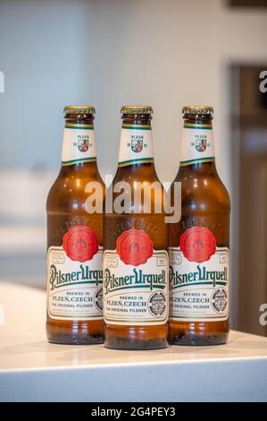 Calgary (Alberta) - le 22 juin 2021 : bouteille de bière Pilsner Urquell lager dans la cuisine blanche. Pilsner Urquell est une bière tchèque. Banque D'Images