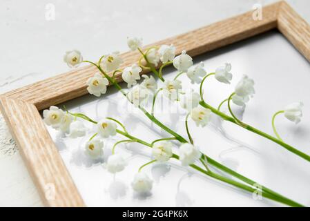 Cadre vide et belles fleurs de lys sur fond clair, en gros plan Banque D'Images