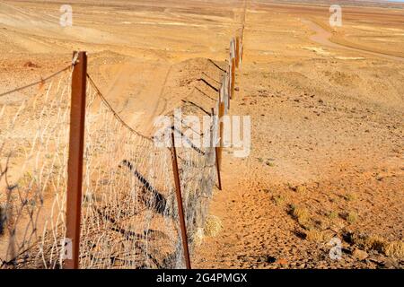 Dog Fence, la plus longue clôture du monde, plus de 5 300 km de long, Australie méridionale Banque D'Images