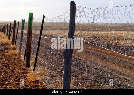 Dog Fence, la plus longue clôture du monde, plus de 5 300 km de long, Australie méridionale Banque D'Images