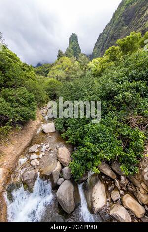 La Maui Iao Needle avec Iao Stream au premier plan au parc national d'Iao Valley, Maui, Hawaii. Banque D'Images