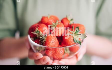 Fraises dans une assiette de verre entre les mains des femmes. Banque D'Images