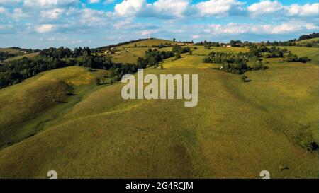 Paysage de collines de Zlatibor en été d'en haut, photographie aérienne de drone de pâturages verts et de bois Banque D'Images