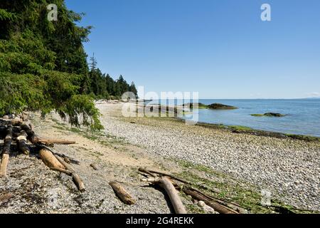 Belle côte à Gibsons, en Colombie-Britannique, au Canada, sur la Sunshine Coast. Banque D'Images