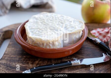 Collection de fromages, fromages français de la région normande, neufchatel en forme de coeur gros plan Banque D'Images