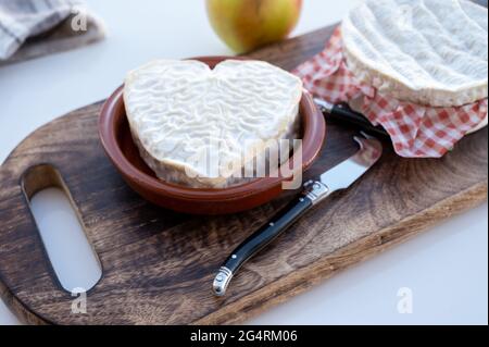 Collection de fromages, fromages français de la région normande, neufchatel en forme de coeur gros plan Banque D'Images