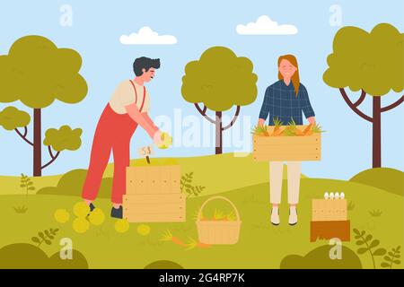 Illustration vectorielle de la récolte de légumes par les agriculteurs dans le jardin de la ferme. Caricature bonne femme jardinier tenant un panier en bois plein de légumes de carotte, homme debout avec le fond de récolte de chou Illustration de Vecteur