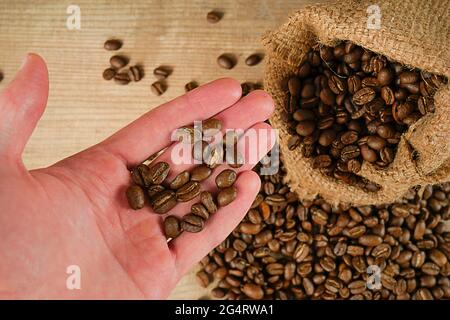 Un homme tient des grains de café dans sa main. Grains de café bruns grillés. Vue de dessus. CopySpace Banque D'Images