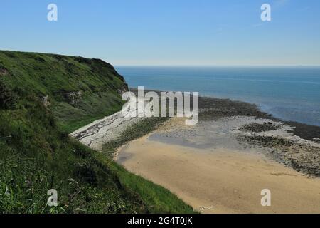 La mer du nord vue depuis les falaises au-dessus de l'atterrissage sud sur la pointe de Flamborough, East Yorkshire, Royaume-Uni. Banque D'Images