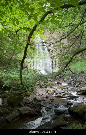 Melincourt Waterfalls, Neath, pays de Galles, vu à travers des arbres en cascade sur des rochers Banque D'Images