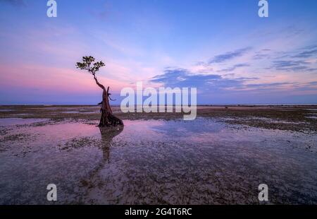 Coucher de soleil sur la plage de Walakiri, l'île de Sumba, Nusa Tenggara Timur, Indonésie Banque D'Images