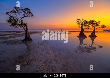 Coucher de soleil sur la plage de Walakiri, l'île de Sumba, Nusa Tenggara Timur, Indonésie Banque D'Images