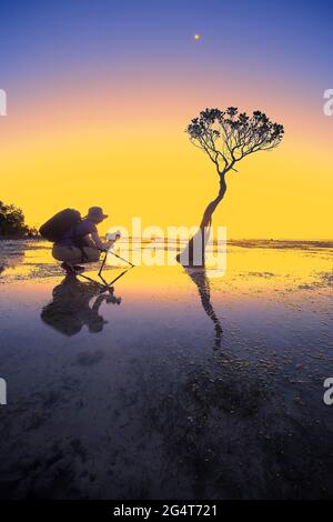 Paysage à Walakiri Beach, île de Sumba, Nusa Tenggara Timur, Indonésie Banque D'Images