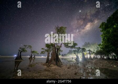 Paysage à Walakiri Beach, île de Sumba, Nusa Tenggara Timur, Indonésie Banque D'Images