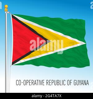 Drapeau national officiel du Guyana, pays sud-américain, illustration vectorielle Illustration de Vecteur