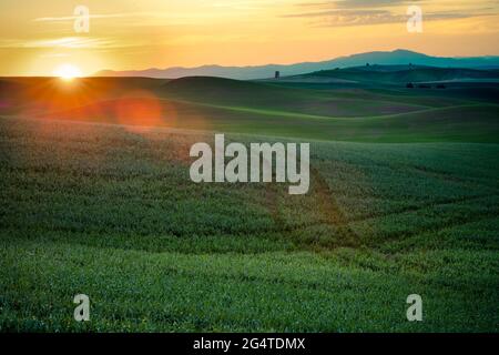 Paysage du pays avec lumière du soleil dorée sur les champs de blé et les fermes de la Palouse Washington State USA Banque D'Images