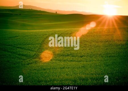 Paysage du pays avec lumière du soleil dorée sur les champs de blé et les fermes de la Palouse Washington State USA Banque D'Images