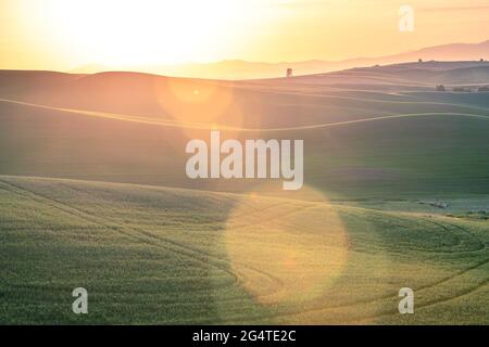 Paysage du pays avec lumière du soleil dorée sur les champs de blé et les fermes de la Palouse Washington State USA Banque D'Images