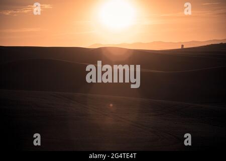 Paysage du pays avec lumière du soleil dorée sur les champs de blé et les fermes de la Palouse Washington State USA Banque D'Images