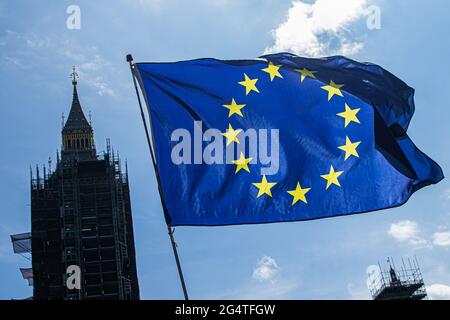 WESTMINSTER LONDRES 23 juin 2021. Les manifestants anti-Brexit arboraient le drapeau de l'Union européenne en dehors du Parlement, ce qui marque aujourd'hui les 5 années écoulées depuis que la Grande-Bretagne a voté pour quitter l'Union européenne le 23 juin 2016. Credit amer ghazzal/Alamy Live News Banque D'Images