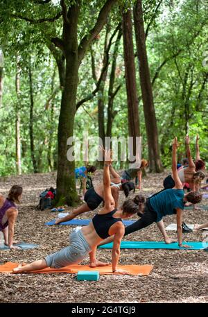 Faire du yoga dans les bois. Les femmes en harmonie avec la nature Banque D'Images