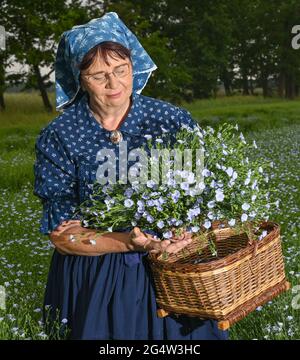 22 juin 2021, Brandebourg, Dürrenhofe: Gisela Christl (Spreewald Christl) se dresse en costume sorabe-Wendish sur la touche d'une conférence de presse sur la fleur de lin dans un domaine de la coopérative agricole Unterspreewald, par exemple avec du lin d'huile en fleur. Le lin, dont les meuleuses pressent l'huile de lin « Preewald », pousse sur environ 160 hectares de terres arables dans la région du Spreewald. En raison du temps chaud, les cultures de lin commencent actuellement à fleurir. La graine de lin est une culture traditionnelle du Spreewald. La production d'huile de lin est enracinée dans la région depuis des générations. Banque D'Images