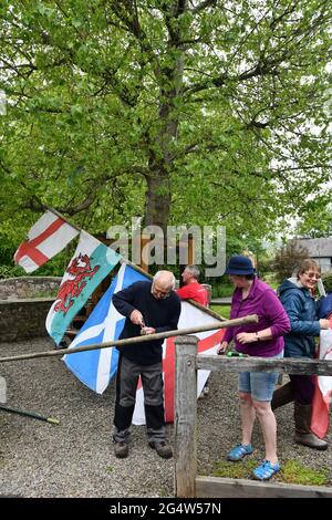 Les résidents du village d'Aston, dans le sud du Shropshire, sur Clun, préparent le célèbre peuplier noir pour la journée de l'Arbor. Ce peuplier connu sous le nom d'arbre b Banque D'Images